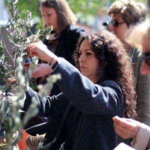 Ove nedjelje Caritasova tradicionalna humanitarna akcija "Maslinova grančica nade"